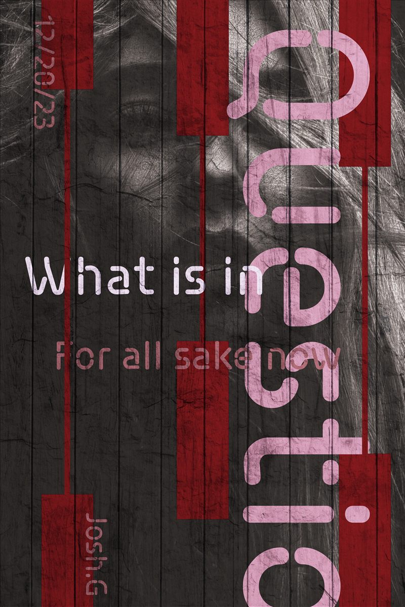 In Question poster